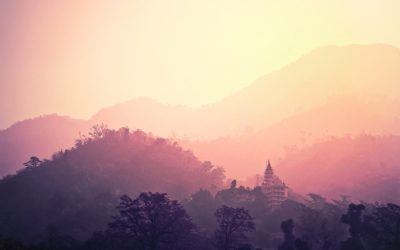 On-line folytatódnak edzéseink!