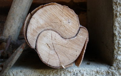 Meggyötört vagy kellemesen elfárasztott az edzés?